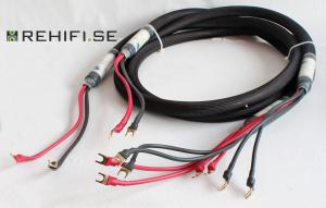 Purist Audio Design Musaeus