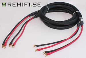 Purist Audio Design Elementa Advance