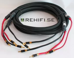 Purist Audio Design Proteus Provectus