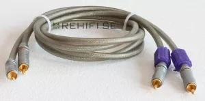 Tara Labs Prism 100i