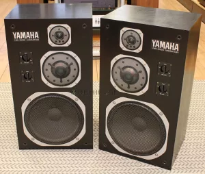 Yamaha NS-1000M