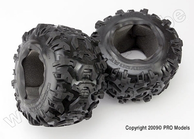 Tires, Canyon AT 3.8" (2)/ foam inserts (2)
