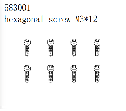 Internal hex screw M3*12