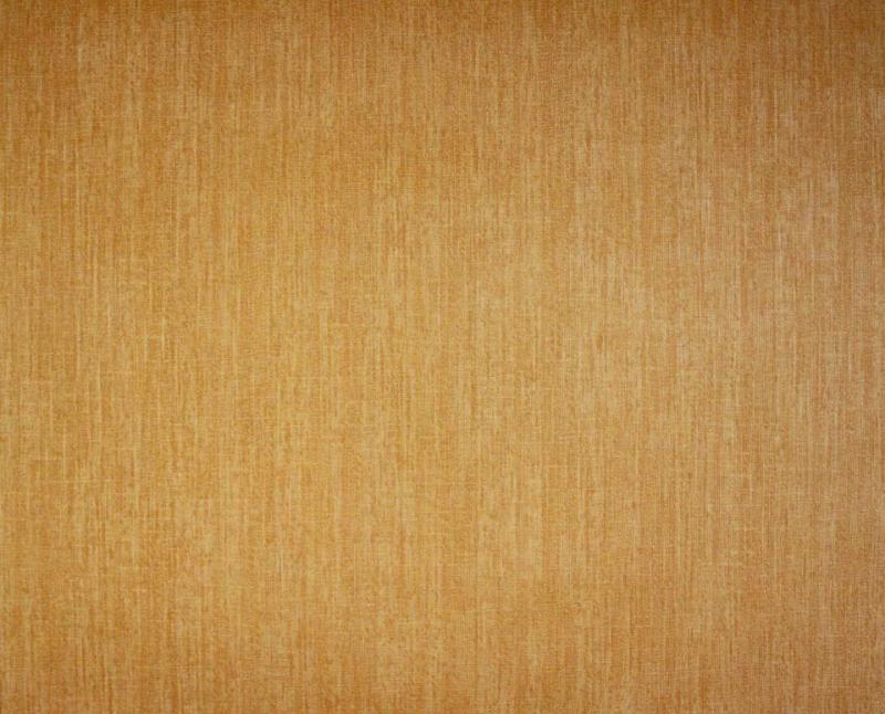 Tapet 41509-F19 Shark