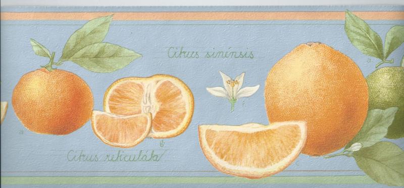 Bård Eco Buffé 861047-1-1