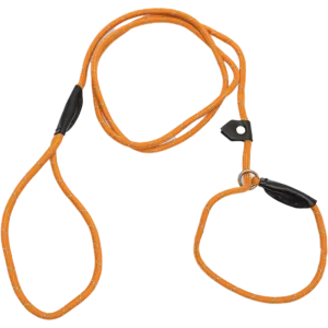 Barq Retrieverkoppel Orange 180 cm