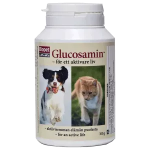 Glucosamin 100g