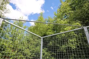 Arctic Strong Hörnstag