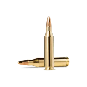 Norma Jaktmatch .243Win 6,2G