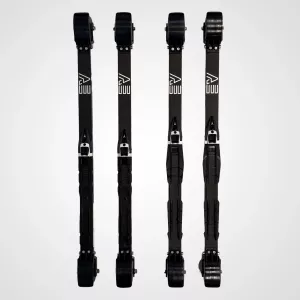 Nystakarpaket: AE Pro S CL 2 + AE Pro S DP 4