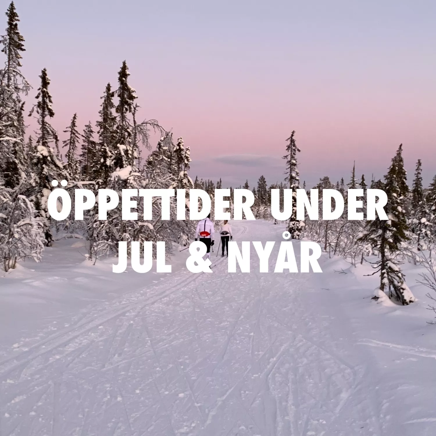 Öppettider och Leveranser under Jul och Nyår