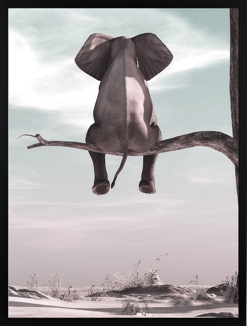 Poster 30x40 Elephant