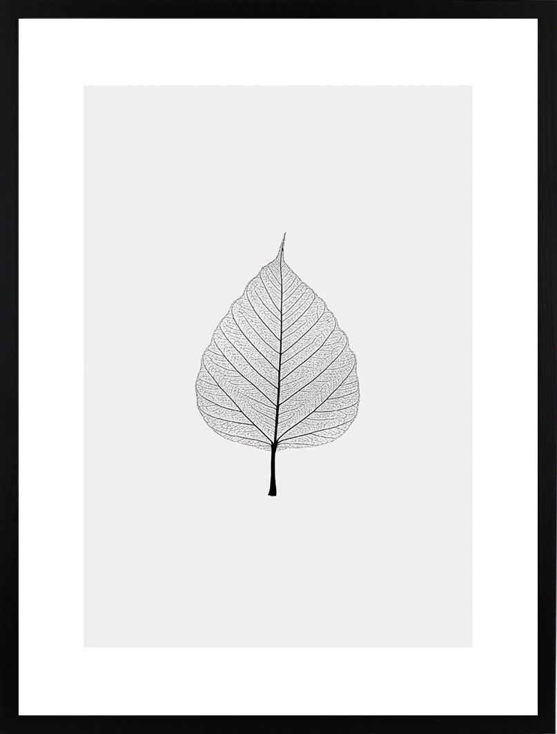 Poster 30x40 light leaf