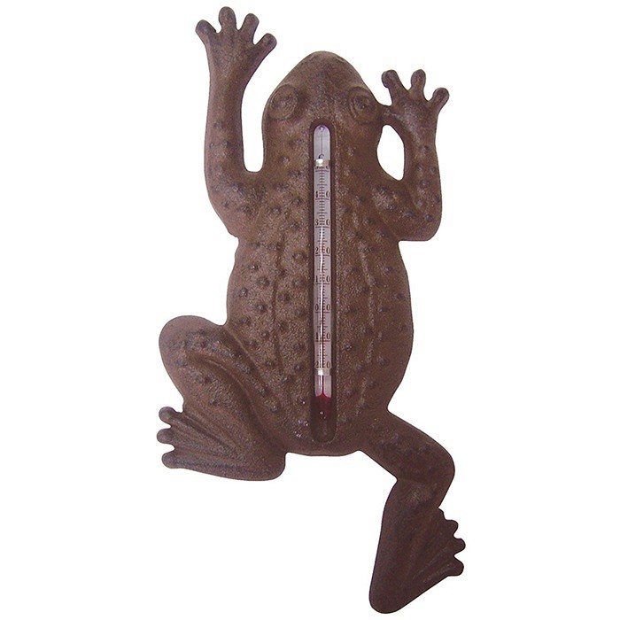 Termometer groda