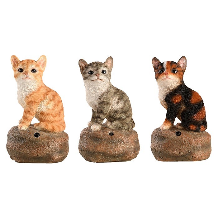 Välkomnande katt