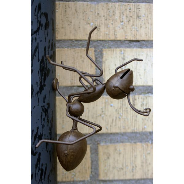 Stor myra med magnet