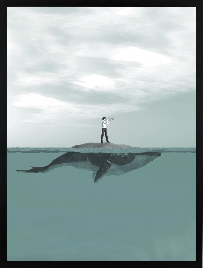 Poster 30x40 Whale