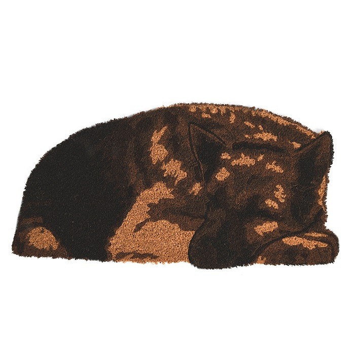 Dörrmatta - sovande hund