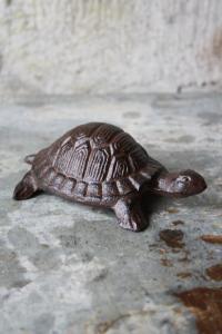 Västanvinden - sköldpadda