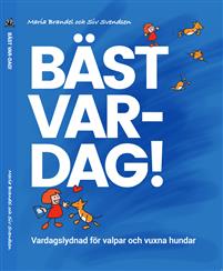 Bäst Var-Dag