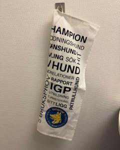 SBK Kökshandduk 50x70