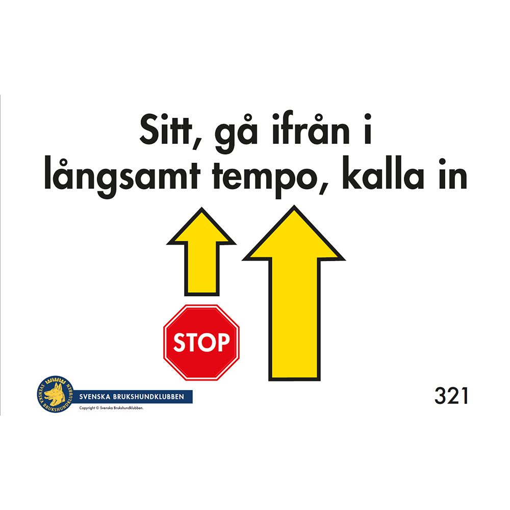 A4 AVANCERADKLASS - Skyltar för Rallylydnad nr 301-322