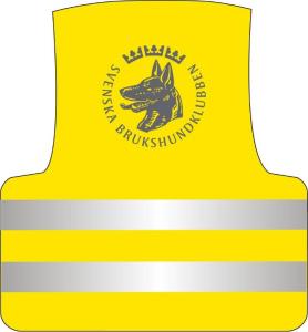 Reflexväst till husse och matte