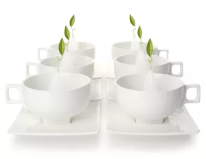 Solstice Tea Cup (storpack)