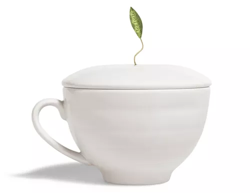 Teaforte  Café Cup