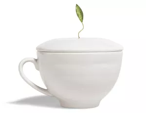 Teaforte  Café Cup