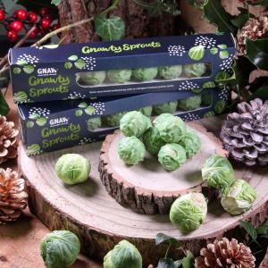 GNAW Sprouts 8 pack 