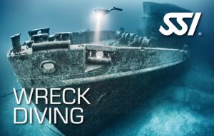 Vrak - (Wreck Diver)