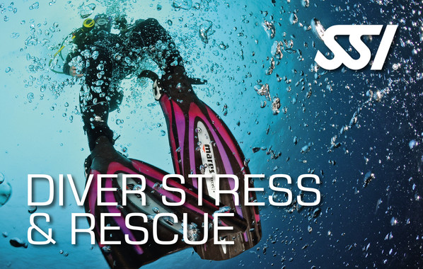 Stress & Rescue Diver