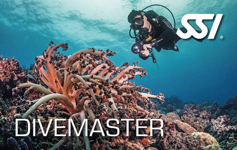 Divemaster - SSI Dykledare (DM) (Kurs)