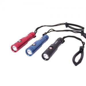 Prolight 1000 Lumen