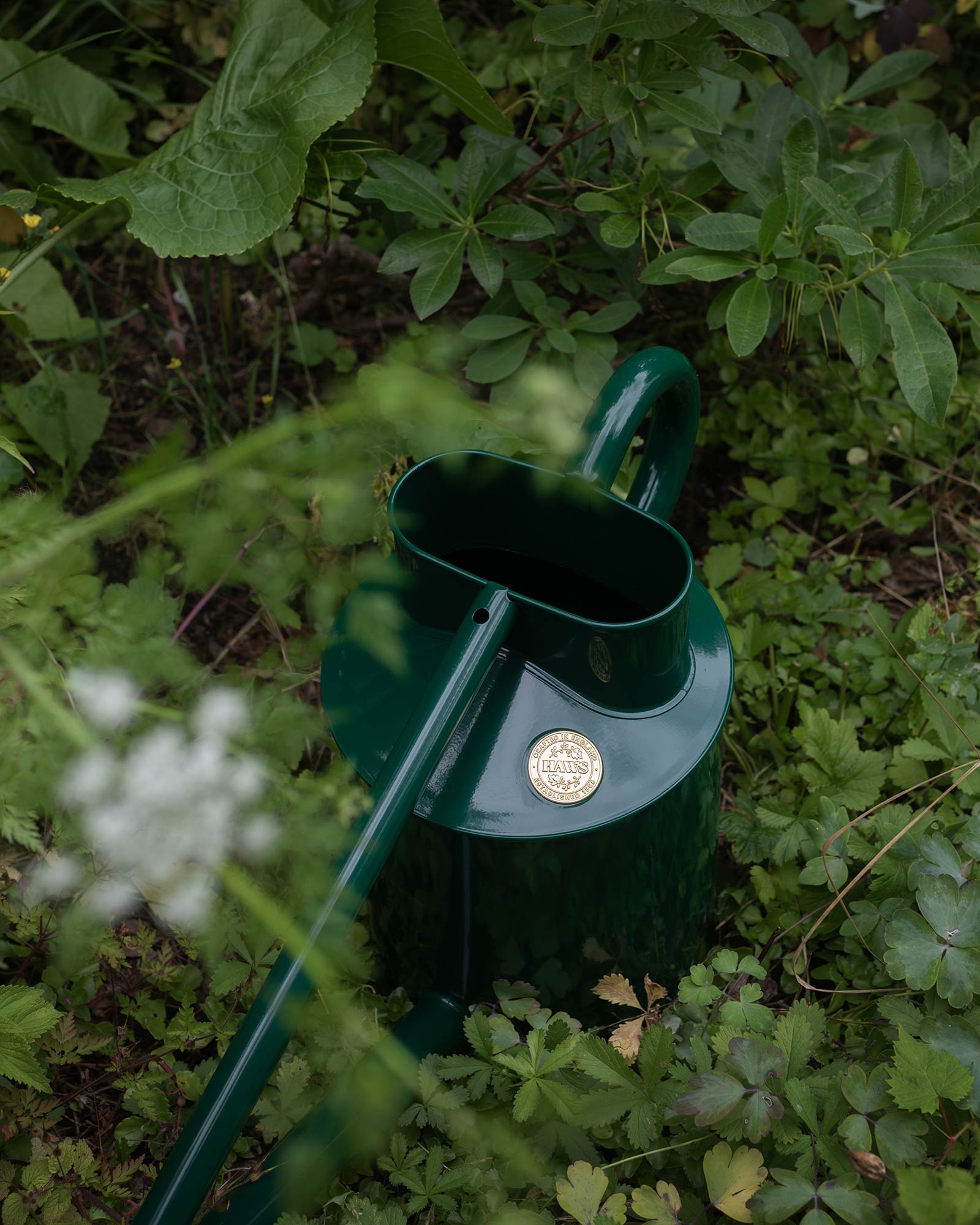 Watering can long pipe - Green 9 L - Old style