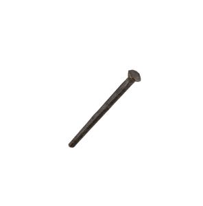 Steel Cut Nail - 65 mm, 344 pieces