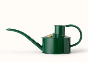 Water kettle indoors - Green 0.5 L