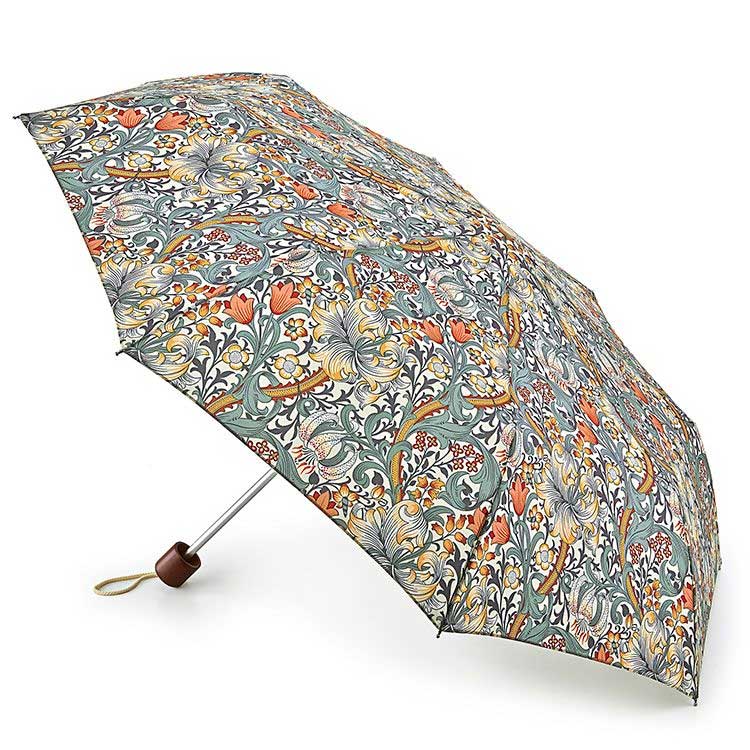 Umbrella Morris - Minilite, Golden Lily