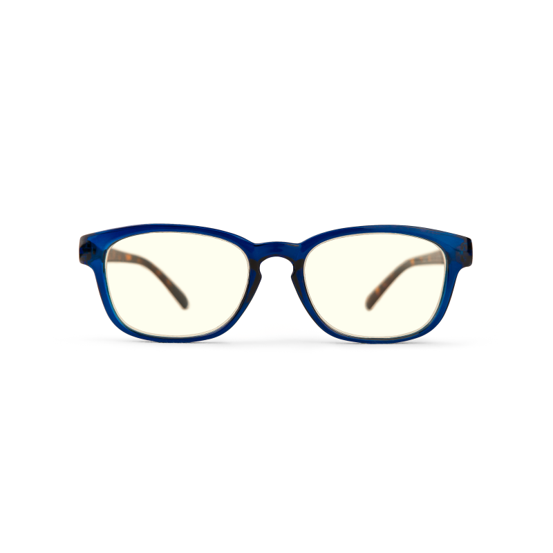 Calais - Blå terminalglasögon med sköldpaddsmönstrade skalmar