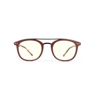 Dayton- gultonade bruna terminalglasögon