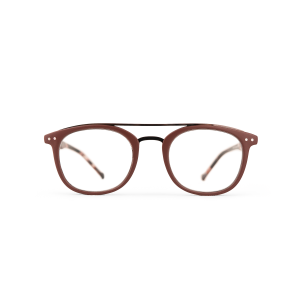 Dayton - Bruna läsglasögon med sköldpaddsmönstrade skalmar