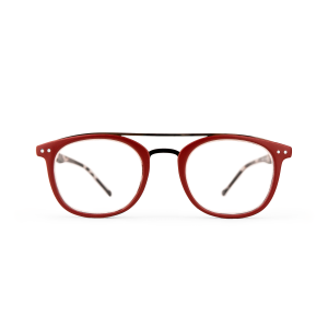 Dayton - Röda läsglasögon med sköldpaddsmönstrade skalmar