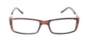 Brighton sköldpadda