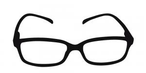 Brisbane - långa skalmar och svarta som natten