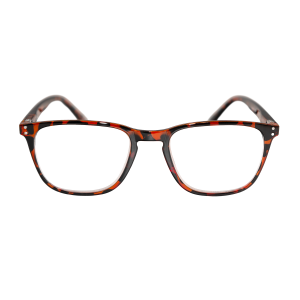 Luzern - sköldpaddsmönstrade läsglasögon