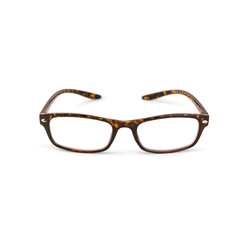 Sydney - blank sköldpadda