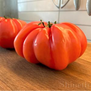 Bifftomat 'Costoluto Fiorentino'