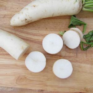 Rädisa (vit)