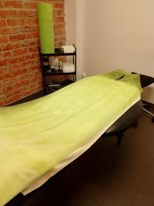 Lejepapir Grøn Nonwoven PP 60cm x 195cm Foldet uden rulle